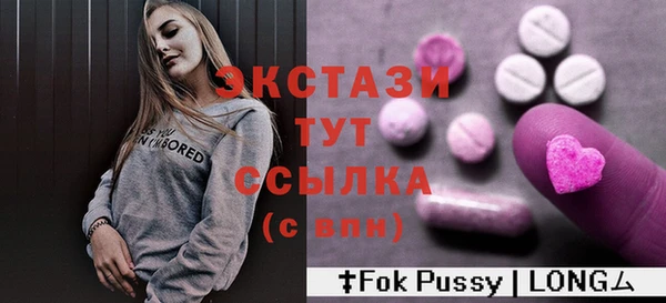 гидра Богородск