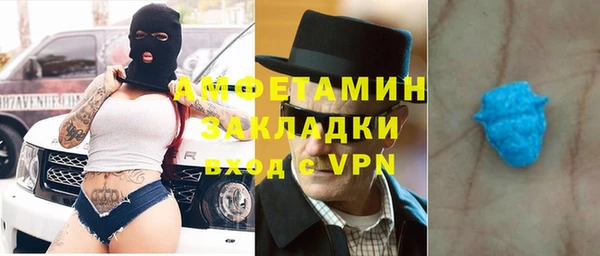 ГАЛЛЮЦИНОГЕННЫЕ ГРИБЫ Богданович