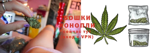 гидра Богородск