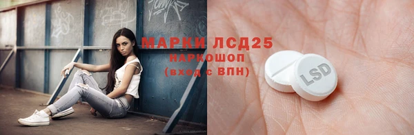 гидра Богородск