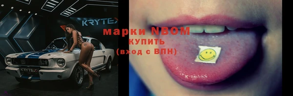 гидра Богородск
