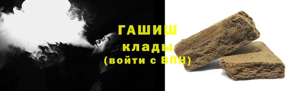 гидра Богородск