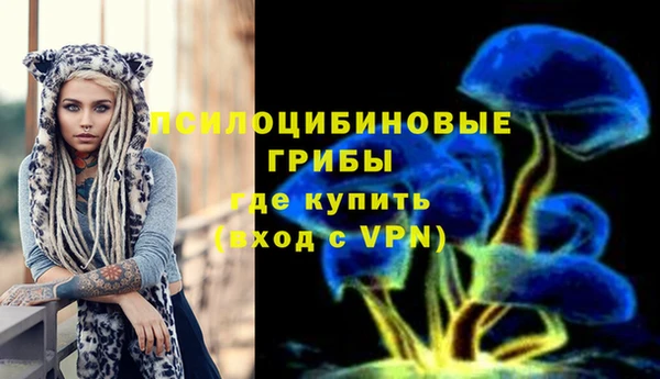 mdpv Богородицк