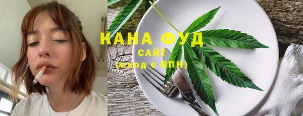 ГАЛЛЮЦИНОГЕННЫЕ ГРИБЫ Богданович
