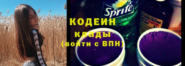 ГАЛЛЮЦИНОГЕННЫЕ ГРИБЫ Богданович