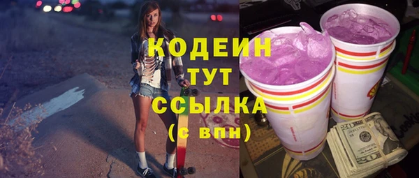 гидра Богородск