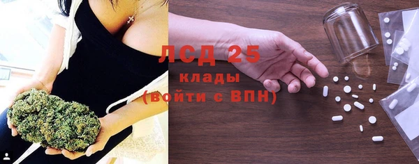 ГАЛЛЮЦИНОГЕННЫЕ ГРИБЫ Богданович