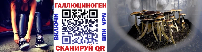 МЕГА как зайти  Екатеринбург  Псилоцибиновые грибы прущие грибы 